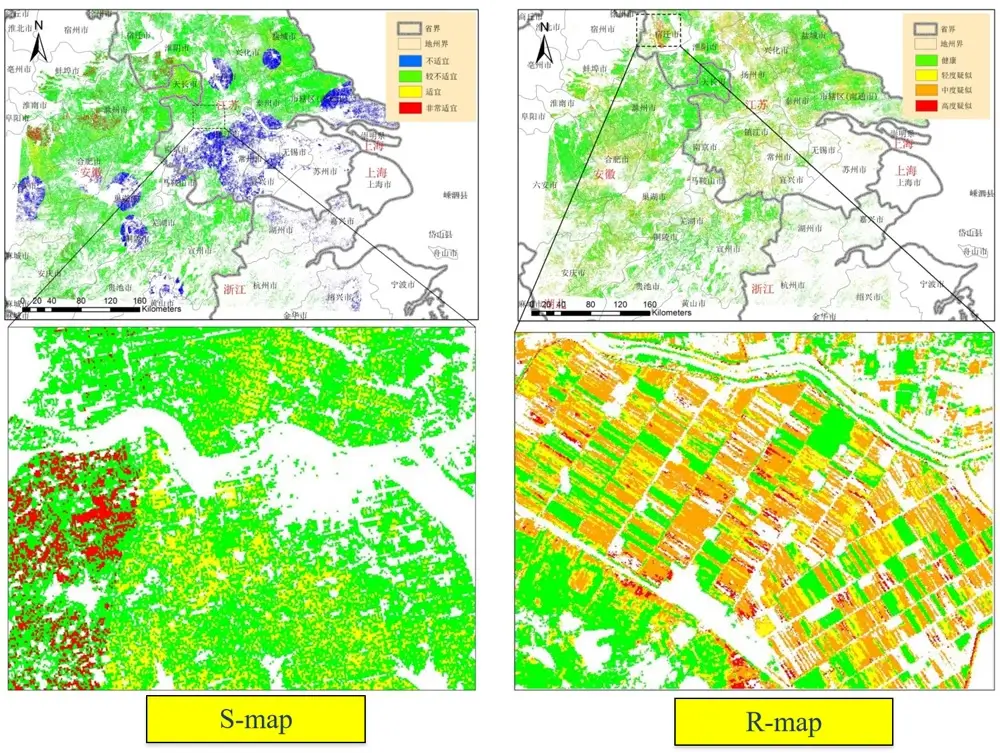 How to Monitor Crop Health Using Satellites: Transforming Modern Agriculture with Remote Sensing and AI