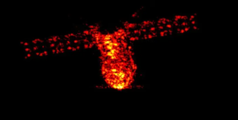 Tiangong-1 uncontrolled return – disposal corridor was over Pacific Ocean