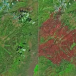 Cottonwood Fire Chars Utah