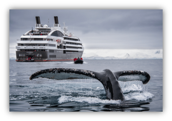 Ponant, VideoFlow Bring Live Broadcasts to Cruise Ships
