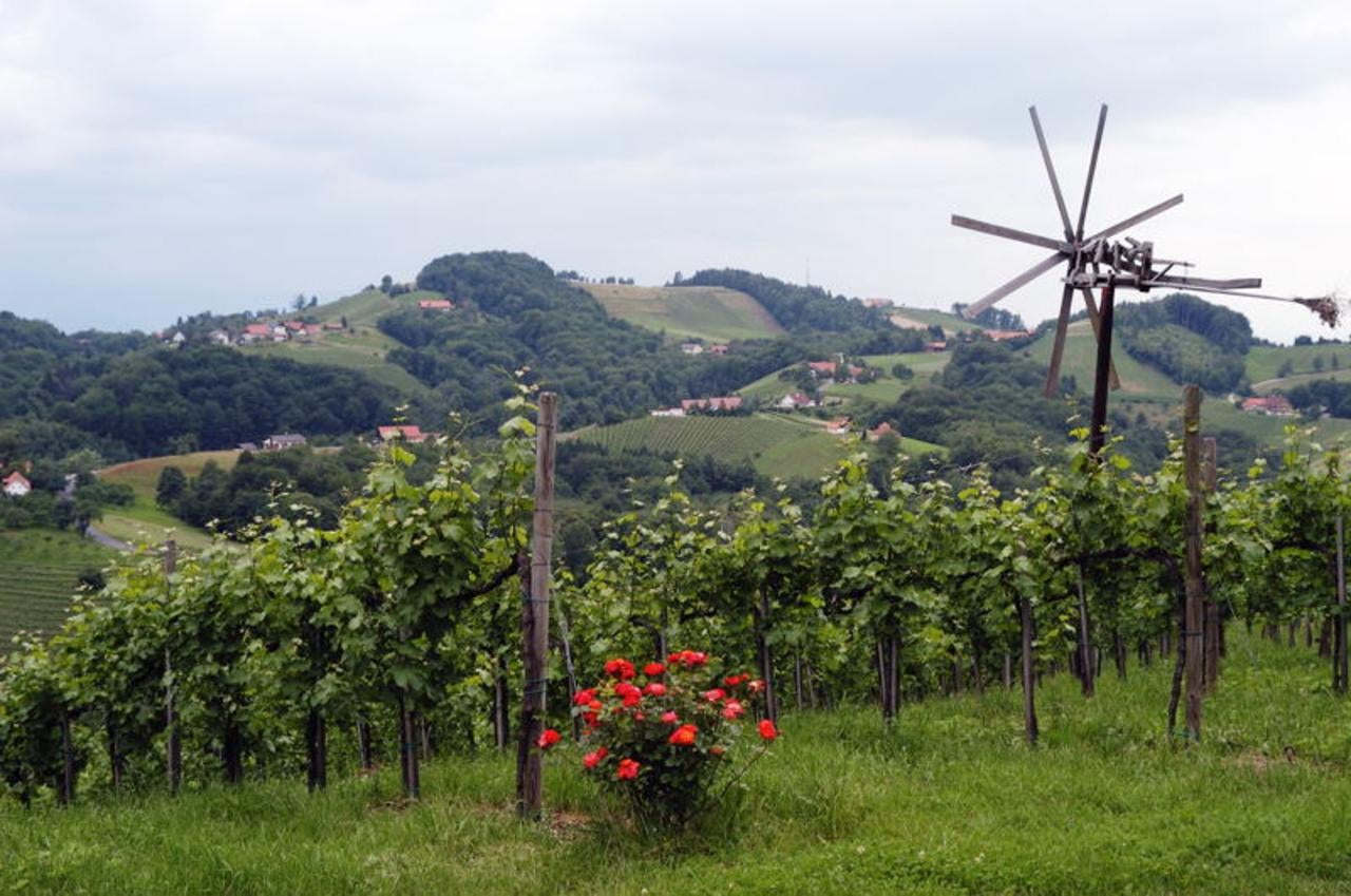 How Satellites Put a Better Wine in Your Glass