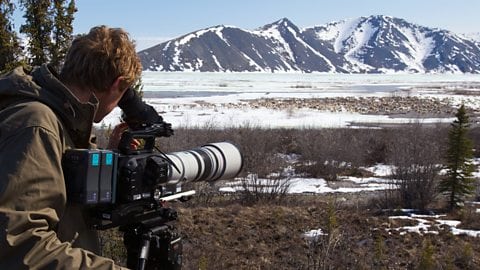 BBC, PBS Film Crews Rely on Globalstar Satellite Devices in Tracking Wildlife