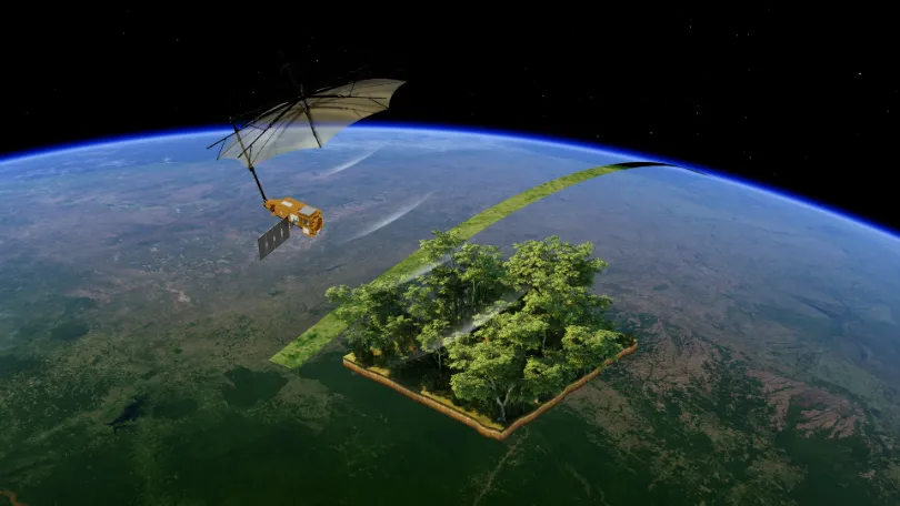 From Carbon Emissions to Carbon Sinks How Satellites Support Carbon Monitoring