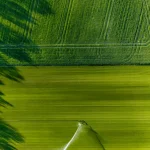 From Crop Health to Irrigation Management How Satellite Remote Sensing Can Help Agriculture Respond to Growing Water Pressure
