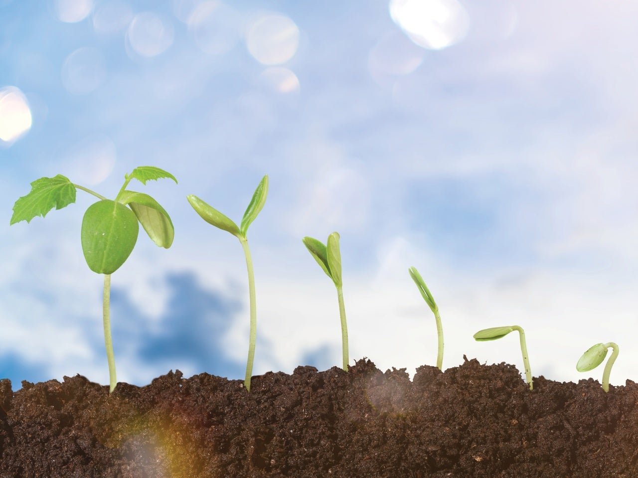 The Global Push for Space and Defense Capabilities Seeds Investment Growth for 2025