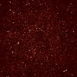 The MeerKAT in which astronomers made a detection of hydrogen in the distant universe (Image credit Paul, et al (2026))