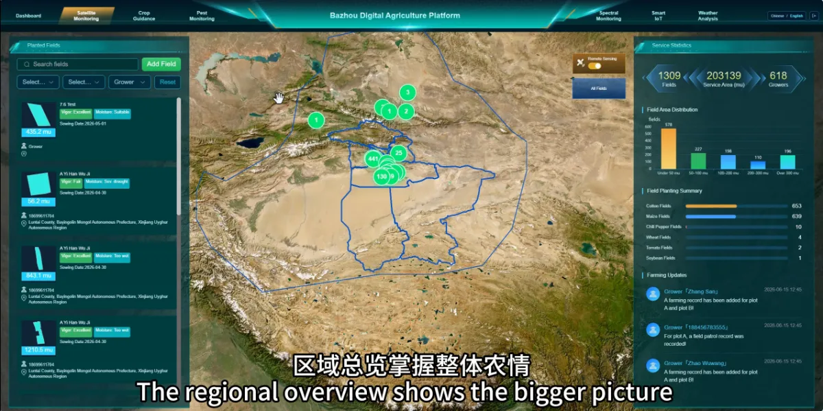 regional-field-overview