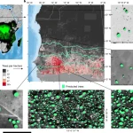 Mapping trees using deep learning.