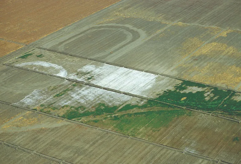 Can Satellite Imagery Detect Soil Salinity