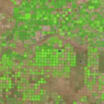 Center-pivot irrigated fields in Southwestern Kansas