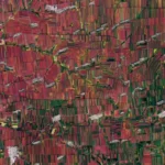 Satellite imagery of farmland in northeastern China. Credit USGS.