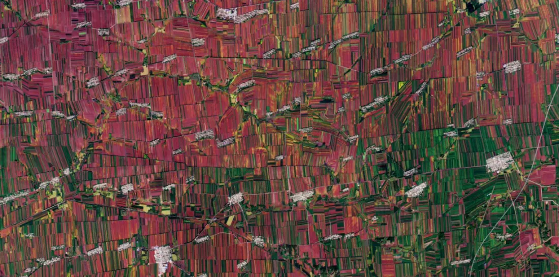 How Satellite Data and AI Are Transforming Crop Insurance in China