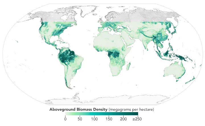 biomass density across GEDI’s observation area