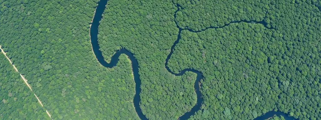 Environment & Natural Resources