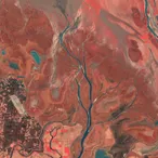 Nanji Wetland, Poyang Lake, Jiangxi, China (Vegetation False Color)
