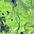 Nanji Wetland, Poyang Lake, Jiangxi, China (Urban Enhanced)