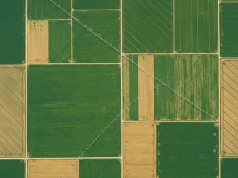 Agriculture